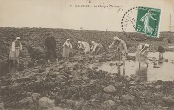 carte postale LA PECHE A L'ECLUSE 1903-1920 010539  Photo