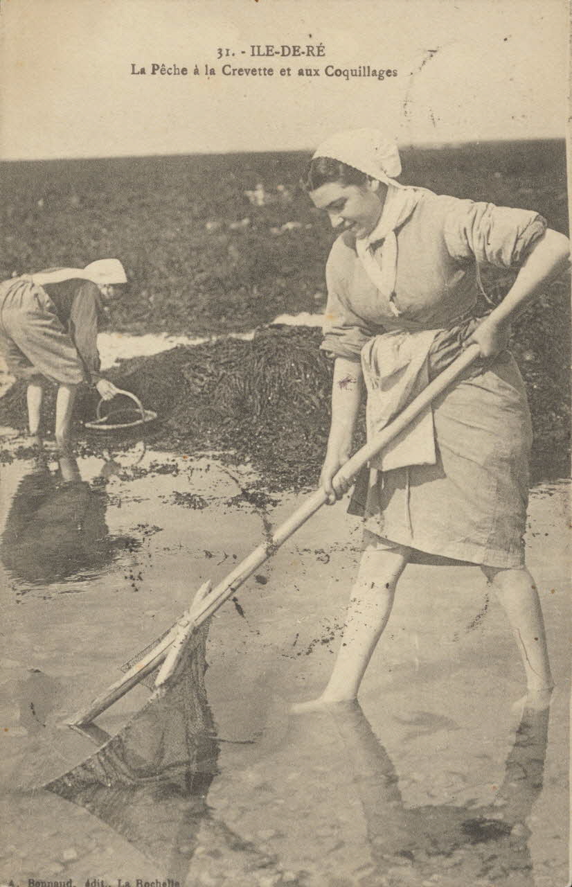 carte postale PECHE AUX CREVETTES ET COQUILLAGES 1911 010540 Photo