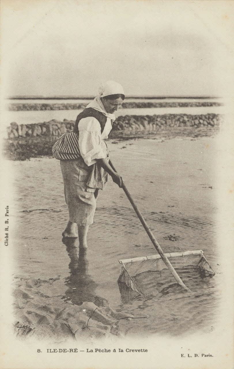 carte postale LA PECHE A LA CREVETTE. ILE-DE-RE 1903 010541 Photo