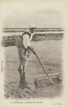 carte postale LA PECHE A LA CREVETTE. ILE-DE-RE 1903 010541  Photo