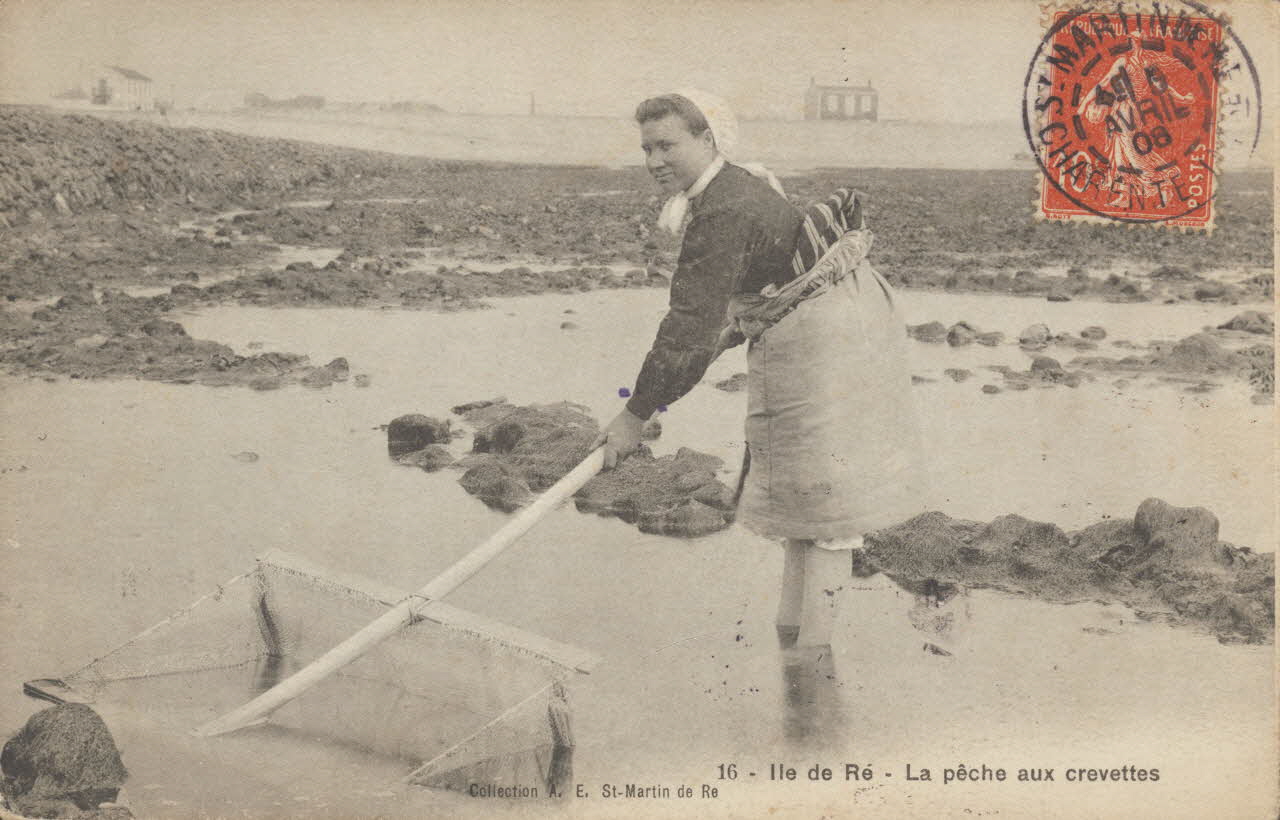 carte postale LA PECHE AUX CREVETTES Charente-Maritime 1908 010542 Photo