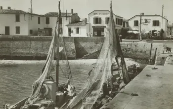 carte postale RIVEDOUX. LE PORT Charente-Maritime 1960 010548  Photo