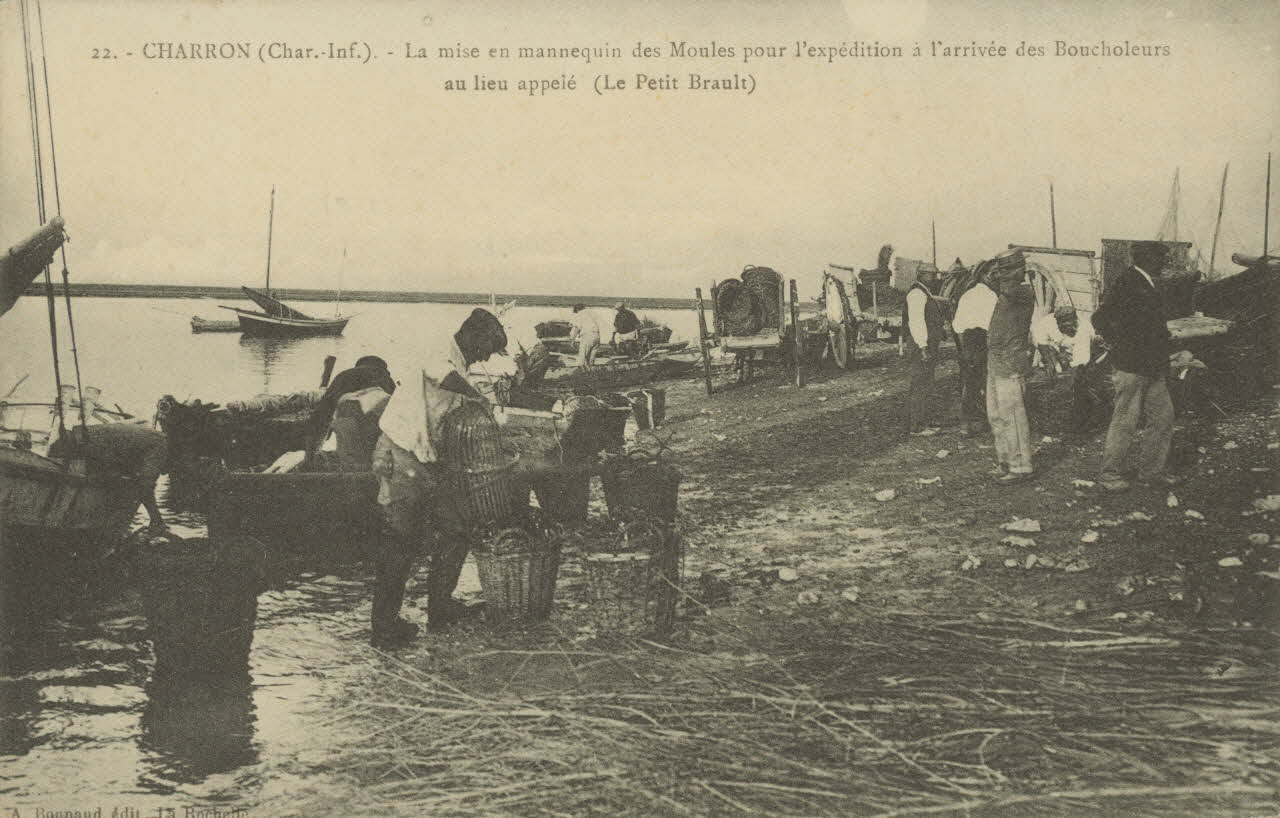 carte postale MISE EN MANNEQUIN DES MOULES Charente-Maritime 1903-1920 010549 Photo