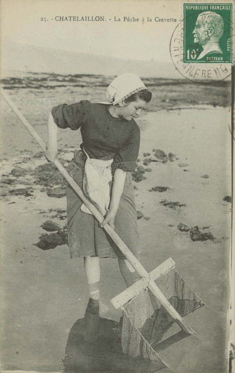 carte postale LA PECHE A LA CREVETTE Charente-Maritime 1903-1920 010552 Photo