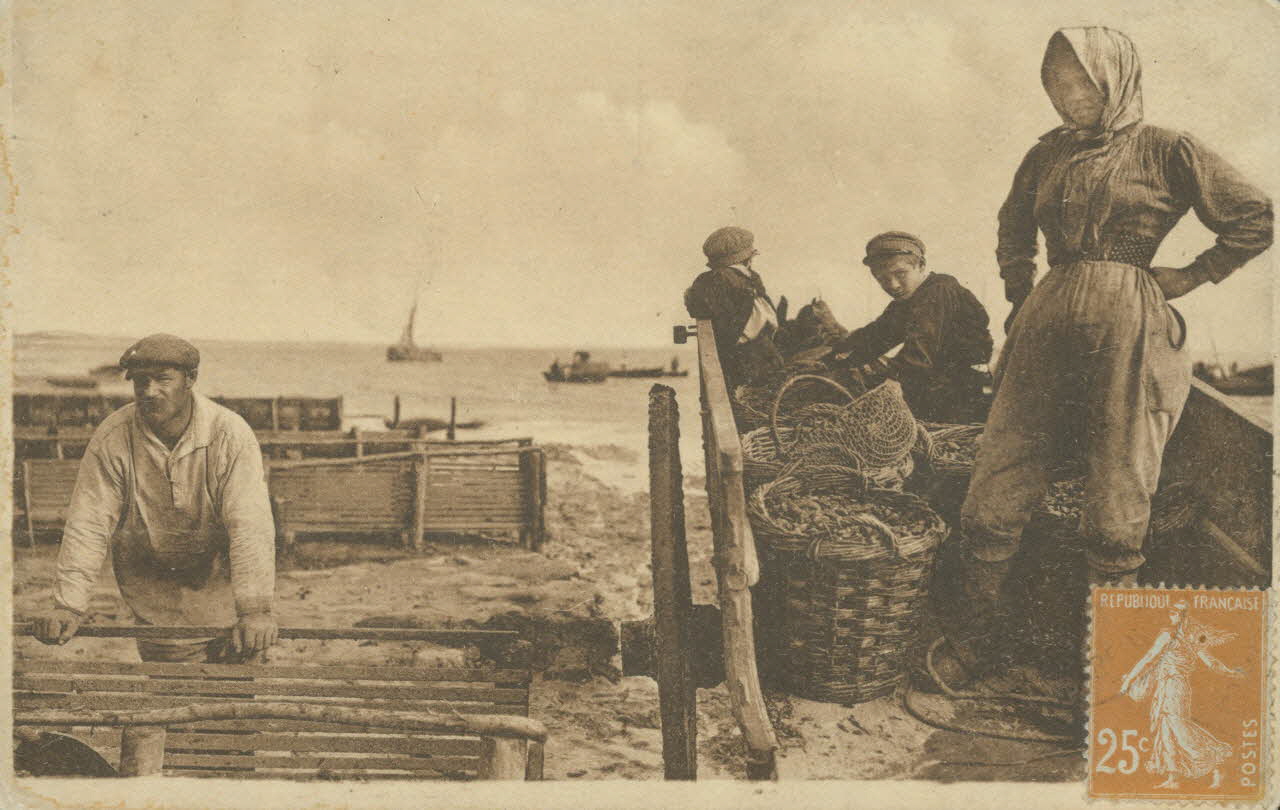 carte postale BOUCHOLEURS. RESERVOIRS A MOULES Charente-Maritime 1903-1920 010553 Photo