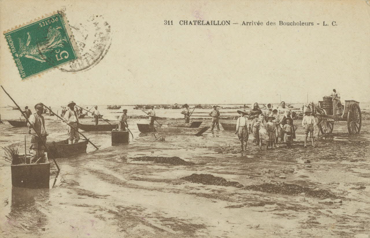 carte postale ARRIVEE DES BOUCHOLEURS Charente-Maritime 1903-1920 010554 Photo