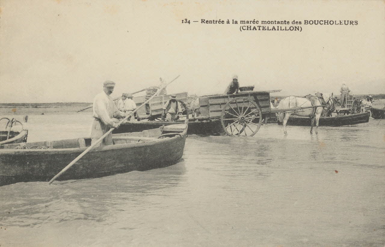 carte postale RENTREE DES BOUCHOLEURS Charente-Maritime 1903-1920 010556 Photo