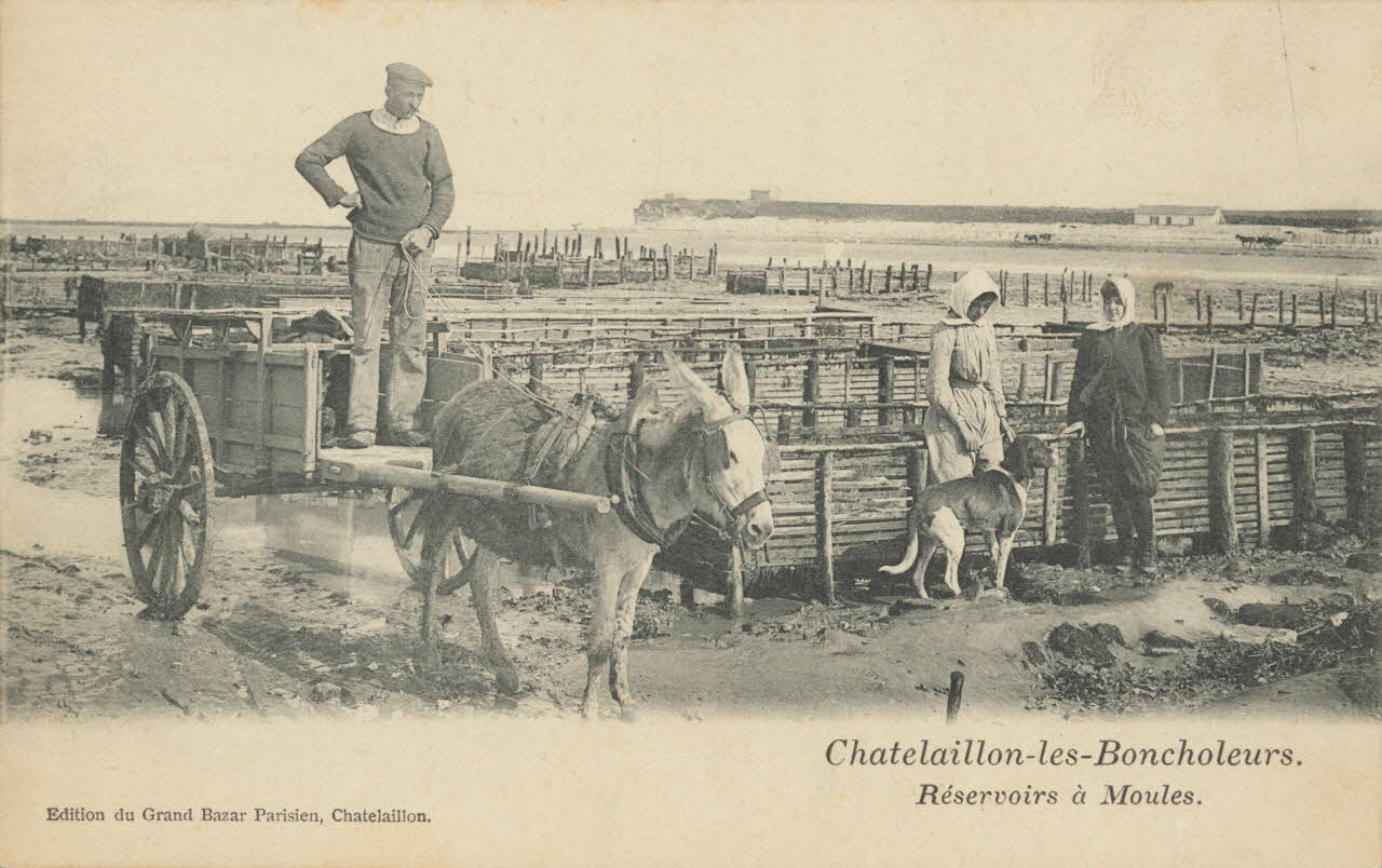 carte postale RESERVOIRS A MOULES Charente-Maritime 1903-1920 010558 Photo