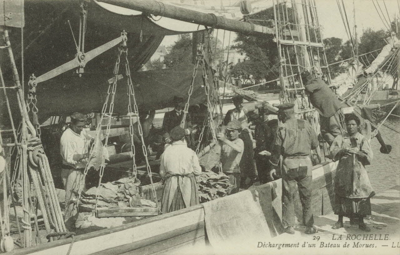 carte postale DECHARGEMENT D'UN BATEAU DE MORUES Charente-Maritime 1903-1920 010566 Photo