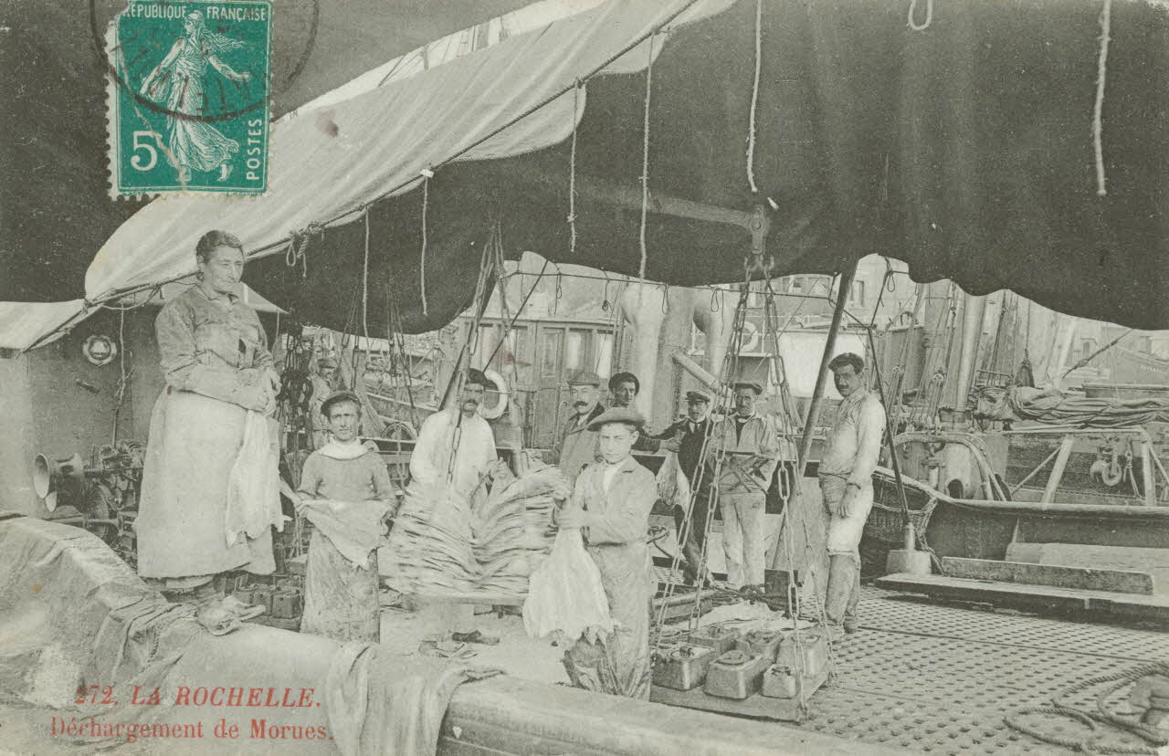 carte postale DECHARGEMENT DE MORUES LA ROCHELLE Charente-Maritime 1903-1920 010568 Photo