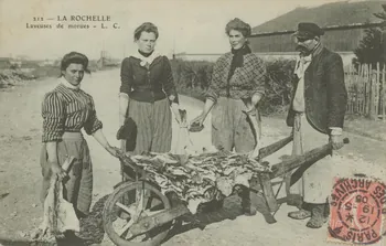 carte postale LA ROCHELLE. LAVEUSES DE MORUES Charente-Maritime 1905 010569  Photo
