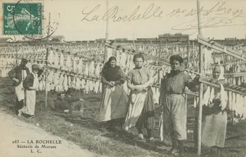 carte postale LA ROCHELLE. SECHERIE DE MORUES Charente-Maritime 1907 010571  Photo