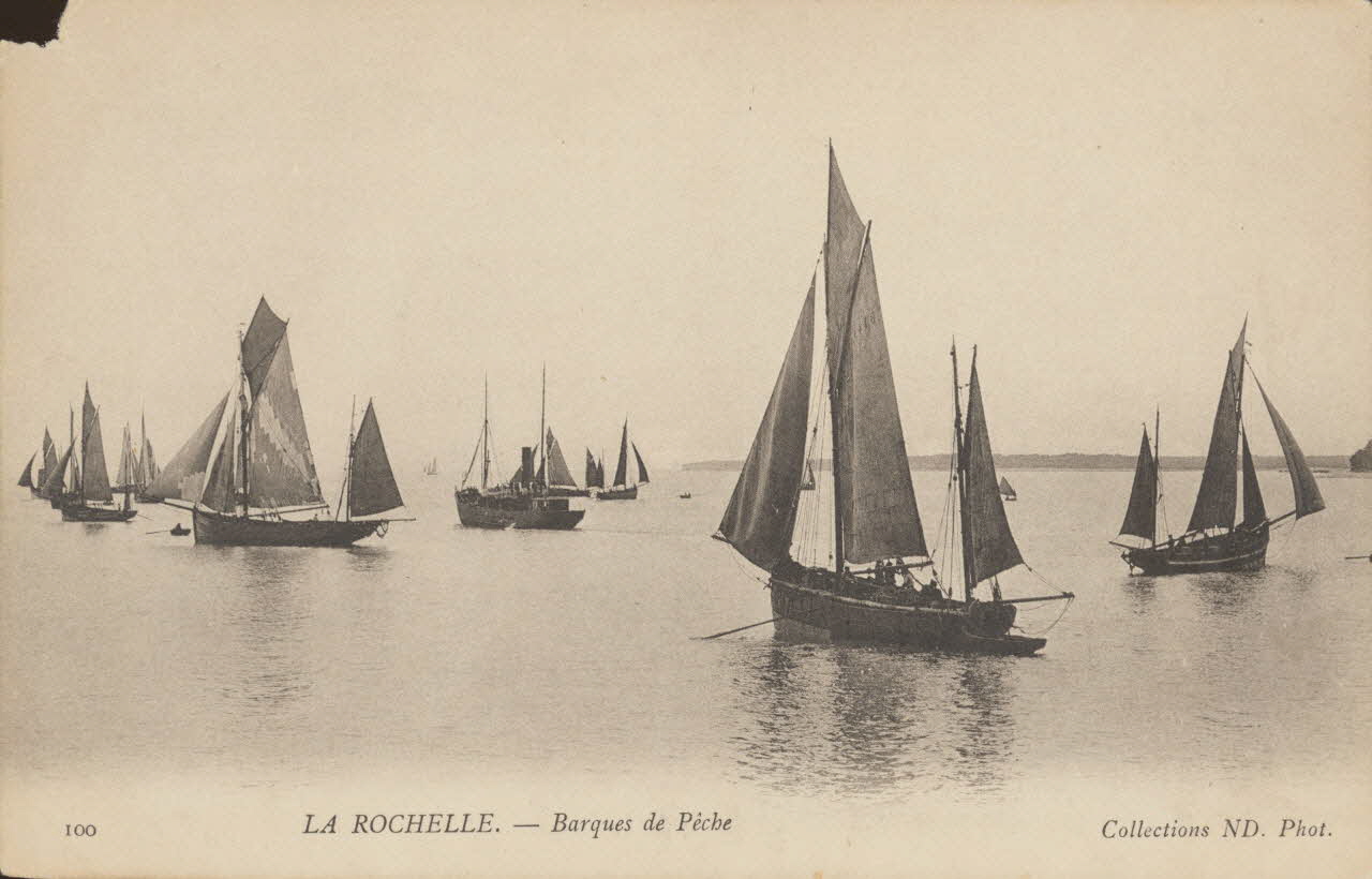 carte postale BARQUES DE PECHE Charente-Maritime 1903-1920 010589 Photo