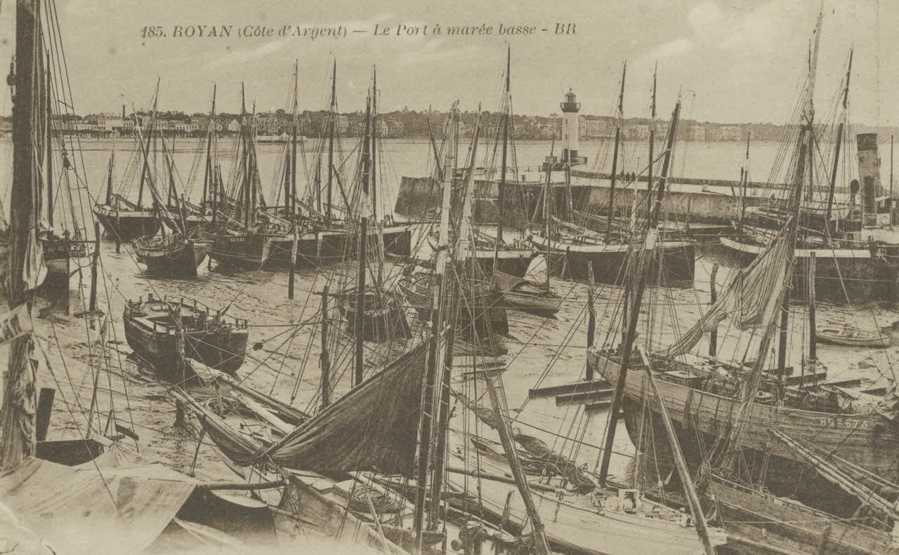 carte postale ROYAN. LE PORT A MAREE BASSE Charente-Maritime 1903-1920 010610 Photo
