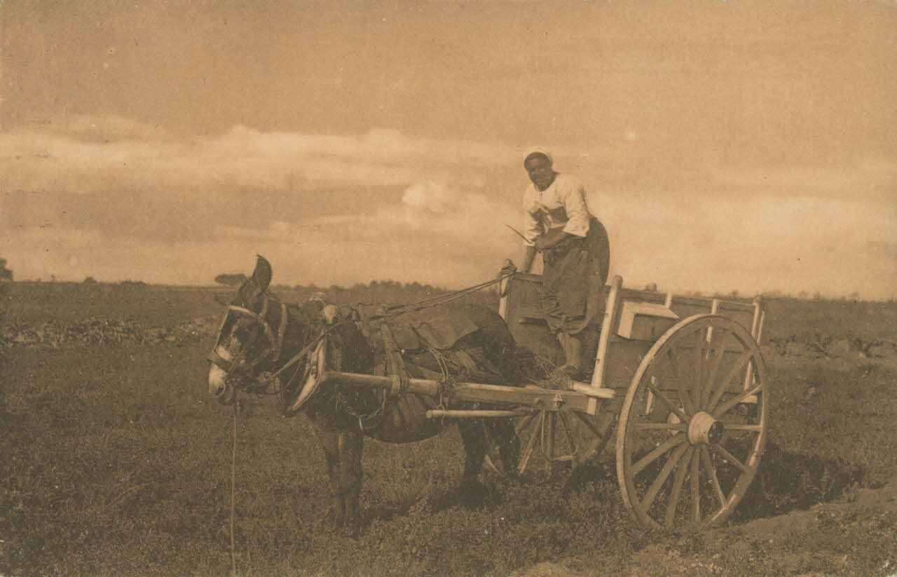 carte postale RETOUR DES CHAMPS 1903-1920 010970 Photo