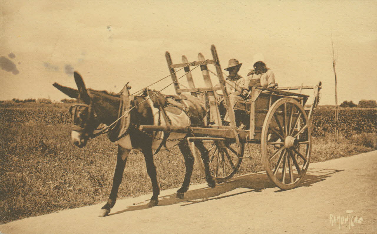carte postale ATTELAGE PITTORESQUE 1903-1920 010971 Photo