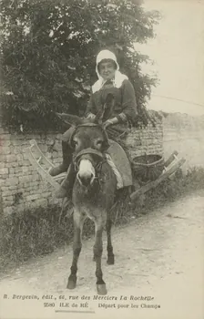carte postale DEPART POUR LES CHAMPS 1903-1920 010972 Photo