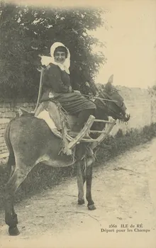 carte postale DEPART POUR LES CHAMPS 1903-1920 010973 Photo