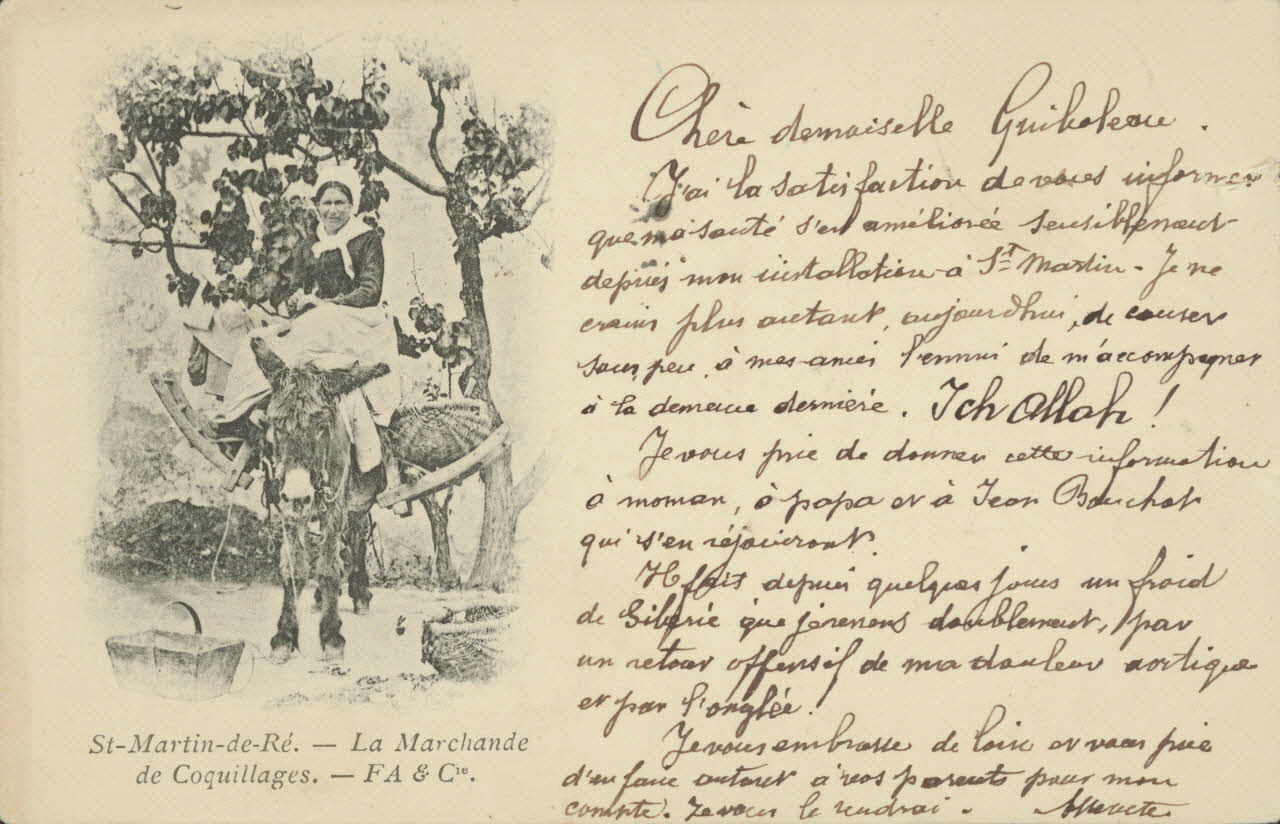 carte postale LA MARCHANDE DE COQUILLAGES Charente-Maritime 1902 010975 Photo