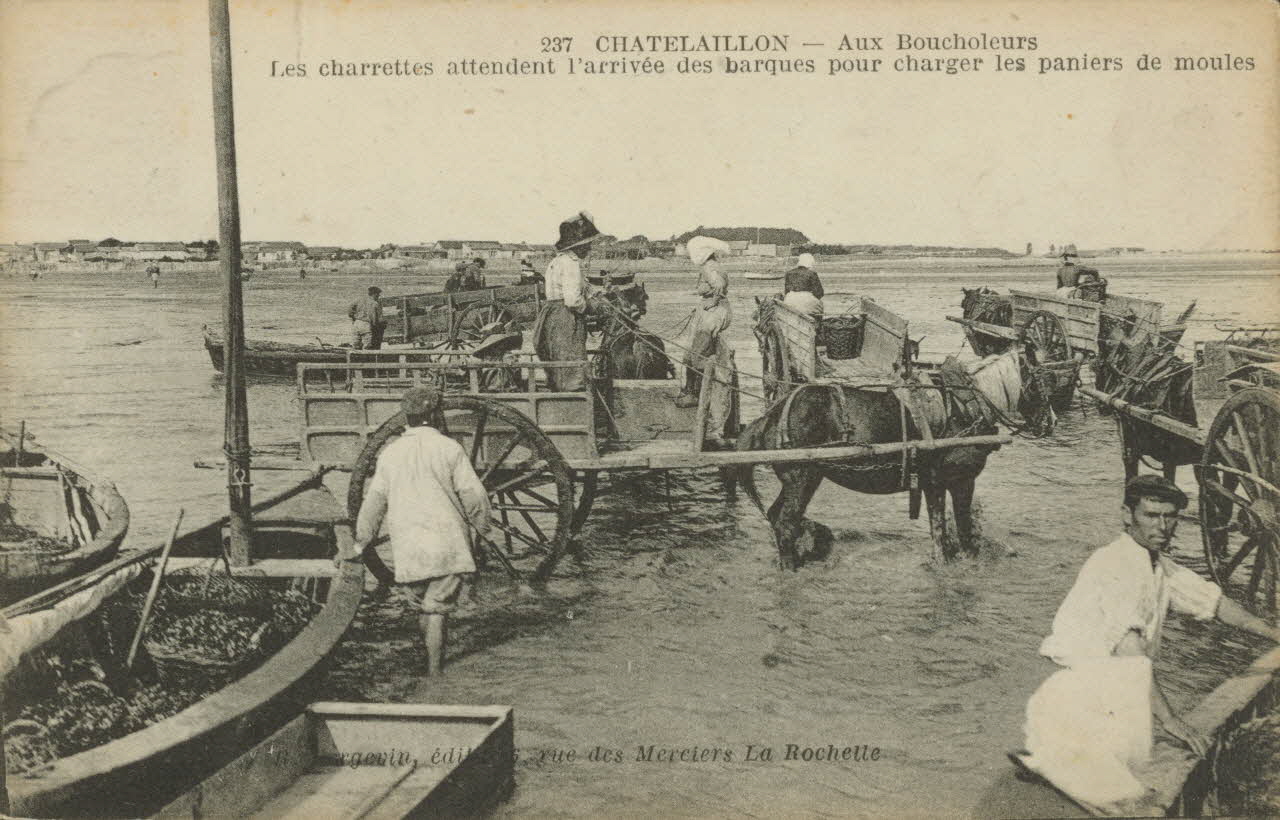 carte postale AUX BOUCHOLEURS Charente-Maritime 1919 010976 Photo