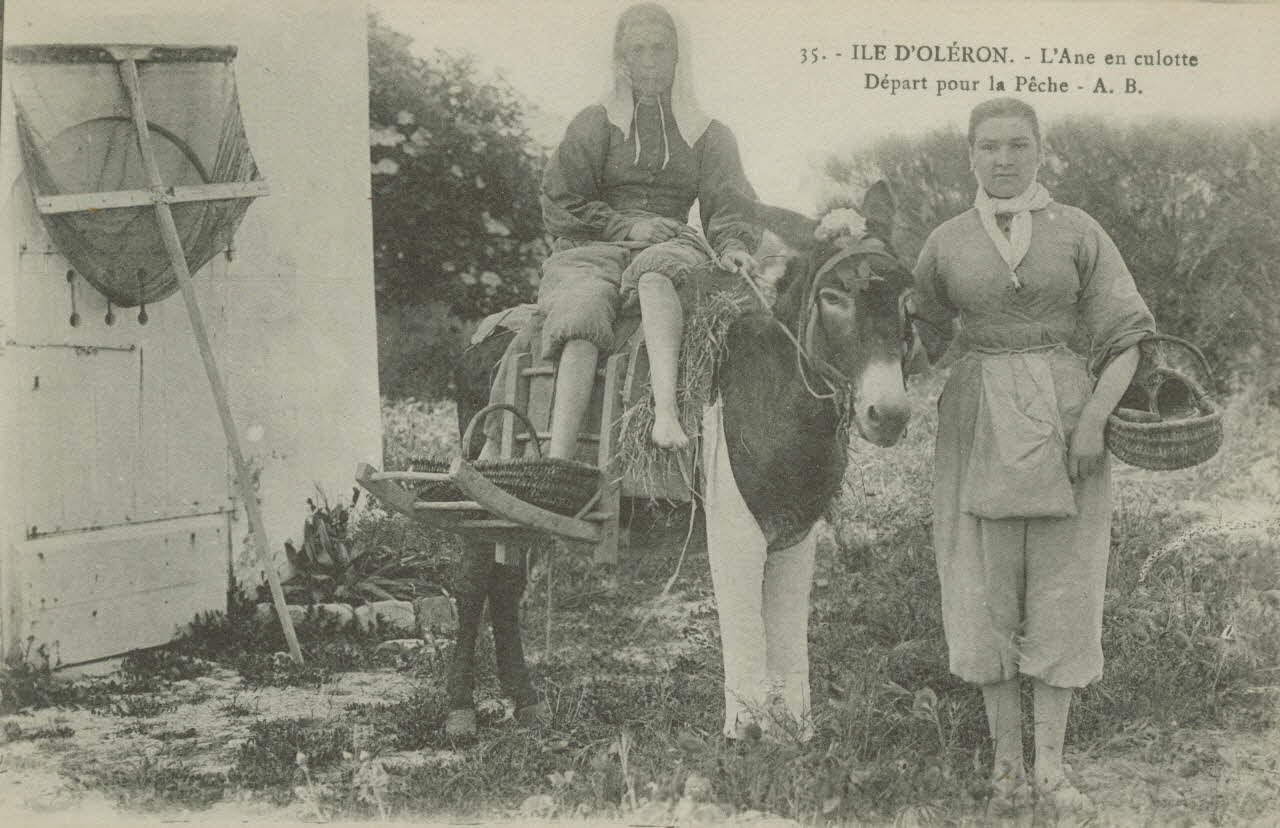 carte postale DEPART POUR LA PECHE, ANE CULOTTE 1903-1920 010991 Photo