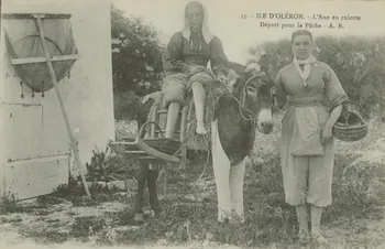 carte postale DEPART POUR LA PECHE, ANE CULOTTE 1903-1920 010991 Photo