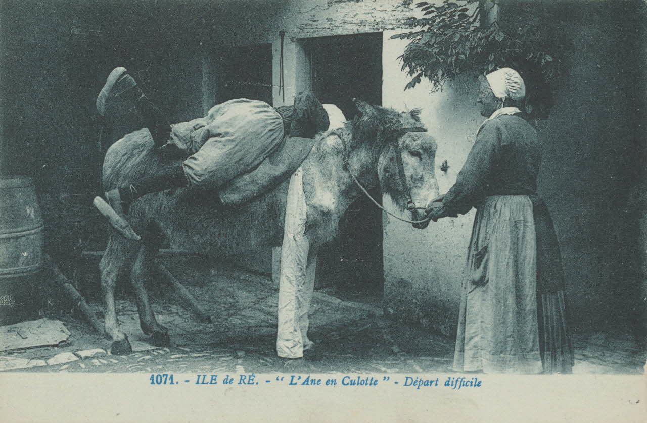 carte postale L'ANE EN CULOTTE, DEPART DIFFICILE 1903-1920 010992 Photo