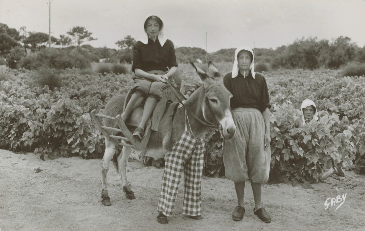 carte postale L'ANE EN CULOTTE 1950 010993 Photo