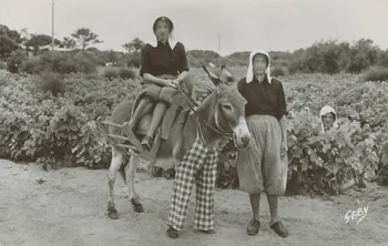 carte postale L'ANE EN CULOTTE 1950 010993 Photo