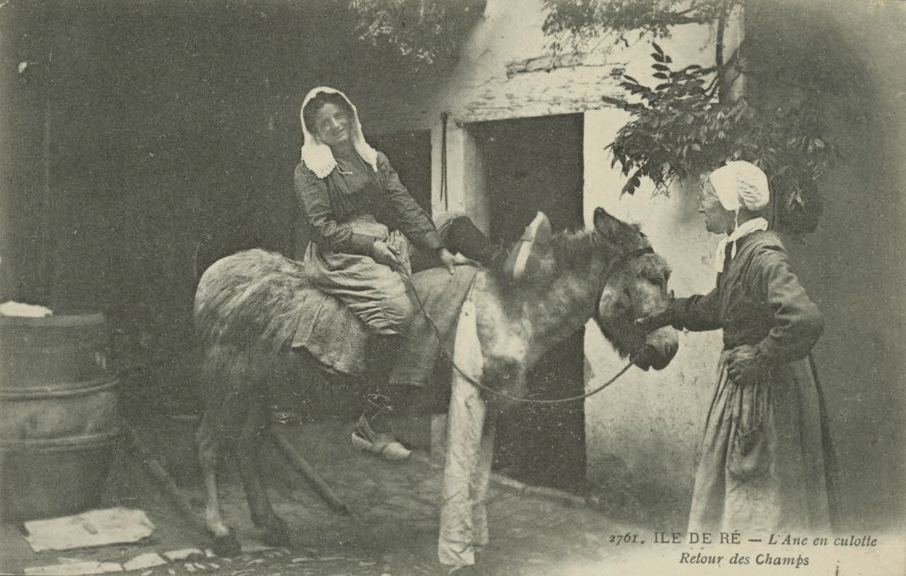 carte postale RETOUR DES CHAMPS 1903-1920 010994 Photo