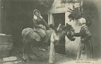 carte postale RETOUR DES CHAMPS 1903-1920 010994 Photo