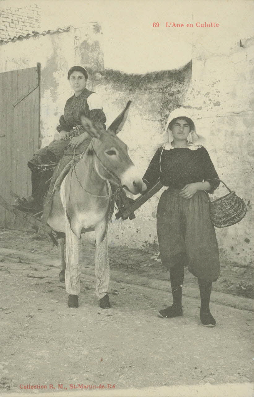 carte postale L'ANE EN CULOTTE Charente-Maritime 1903-1920 010996 Photo