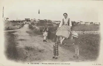 carte postale FEMME RHETAISE PARTANT AUX CHAMPS 1903 011002 Photo