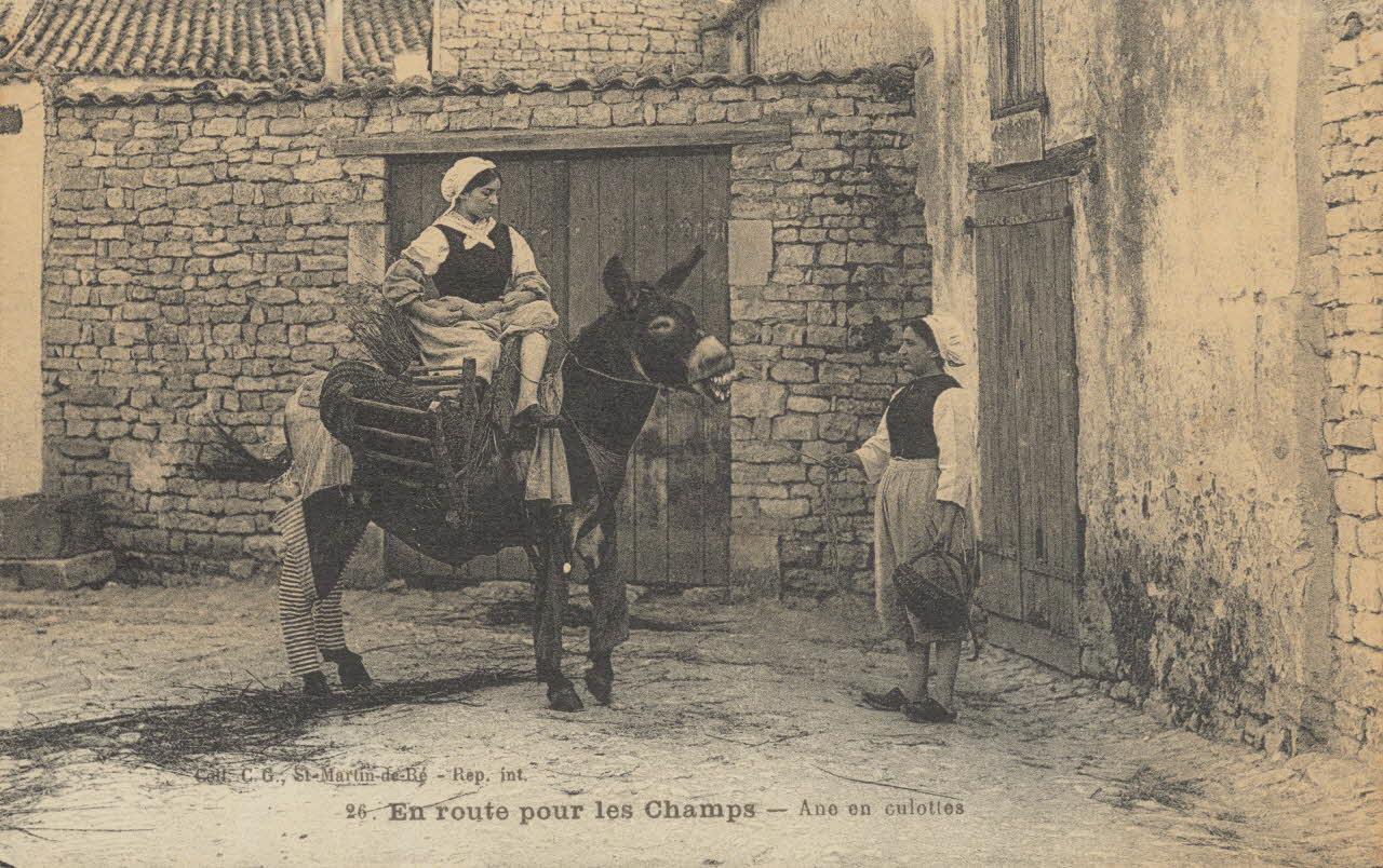 carte postale ANE EN CULOTTE, DEPART AUX CHAMPS 1903-1920 011003 Photo