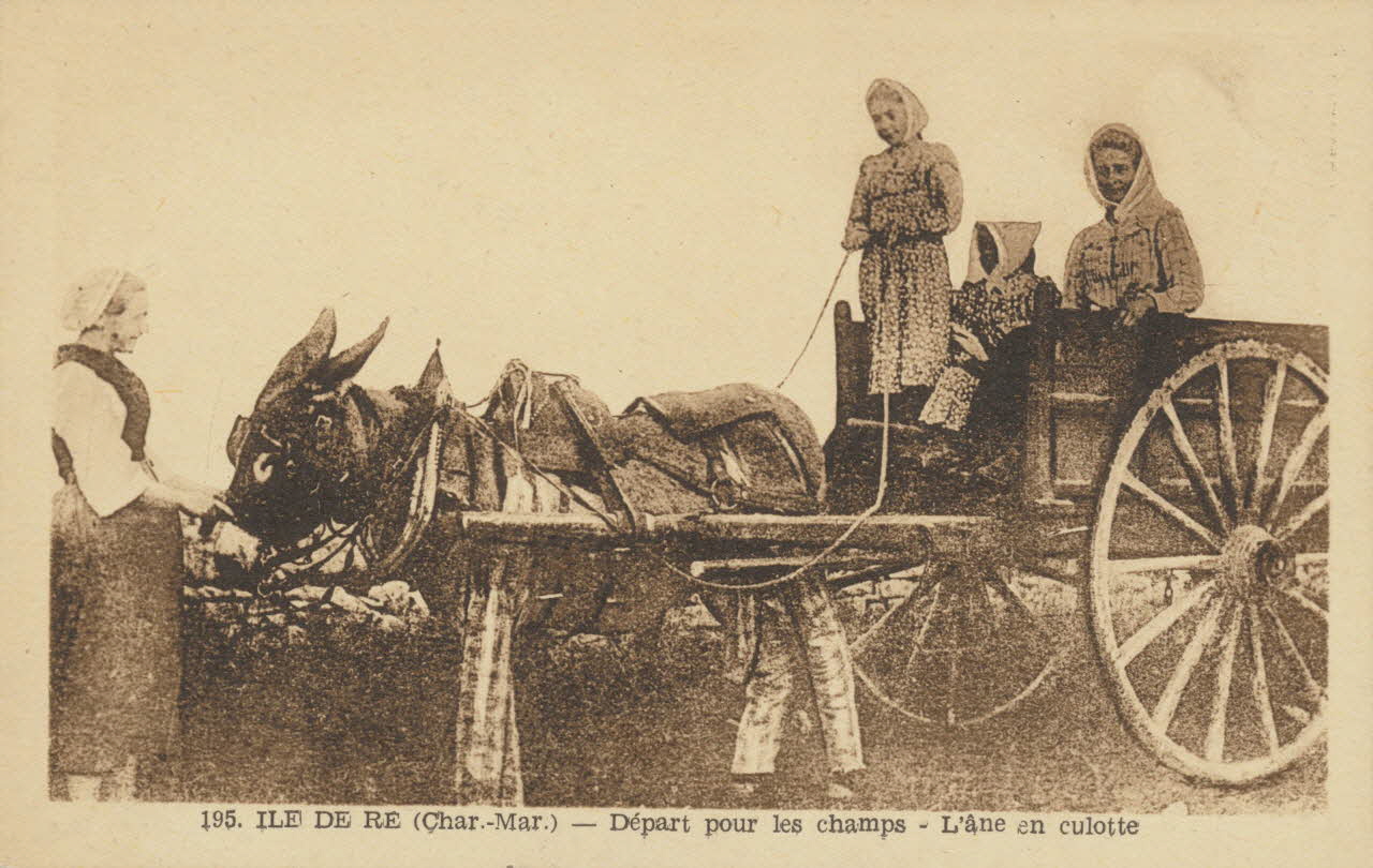 carte postale DEPART AUX CHAMPS, L'ANE EN CULOTTE 1903-1920 011004 Photo