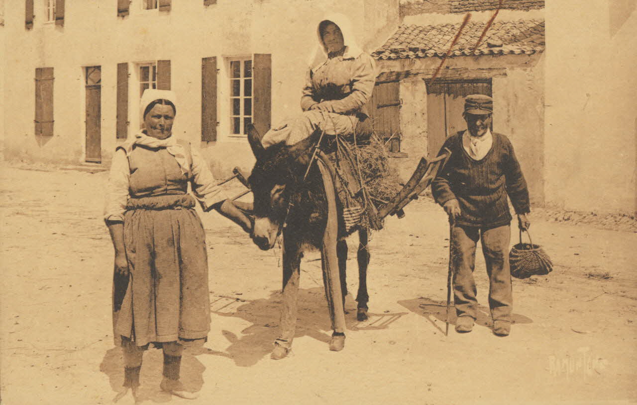 carte postale DEPART AUX CHAMPS, L'ANE EN CULOTTE 1903 011005 Photo