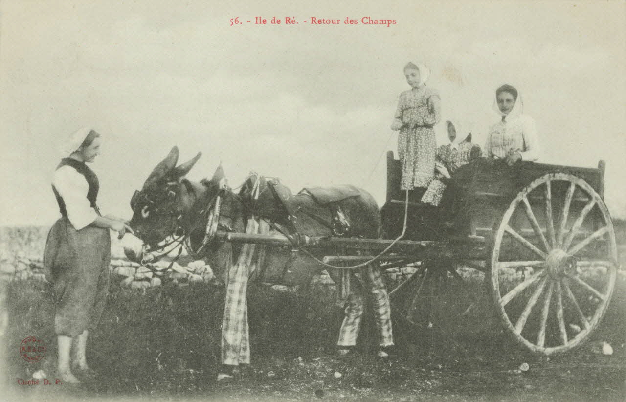 carte postale RETOUR DES CHAMPS 1903-1920 011009 Photo