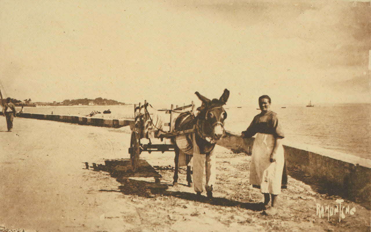 carte postale L'ANE EN CULOTTE Charente-Maritime 1903 011012 Photo