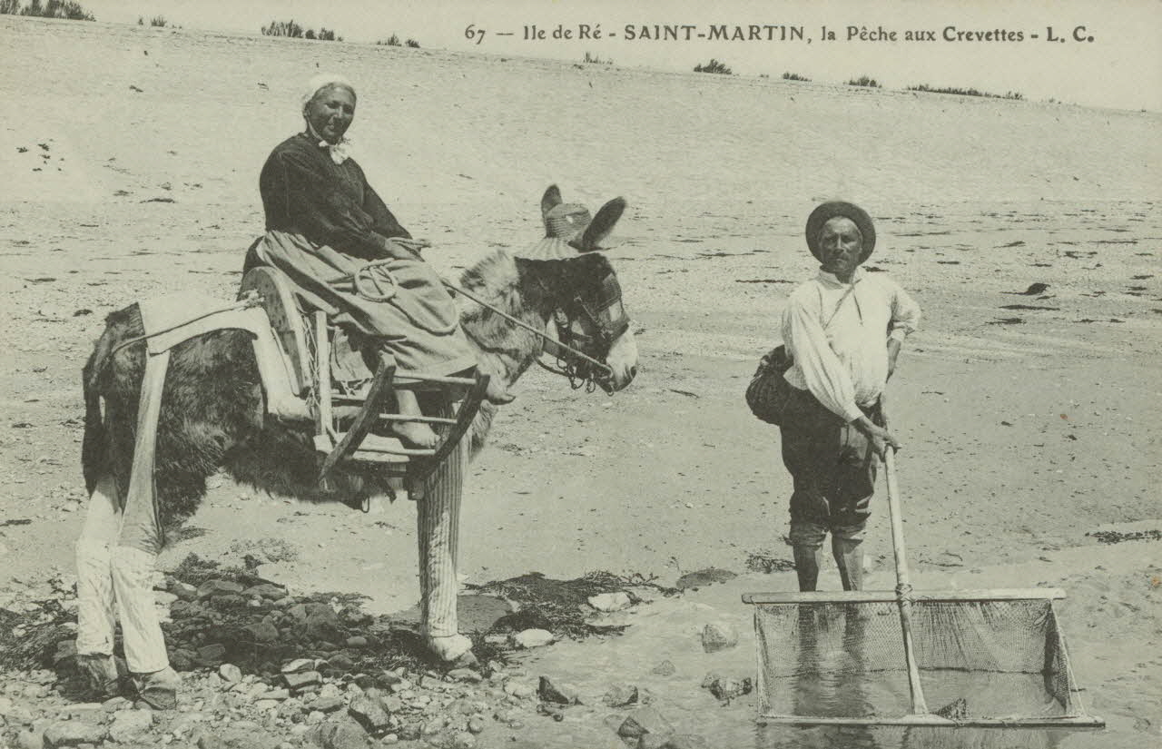carte postale LA PECHE AUX CREVETTES Charente-Maritime 1903-1920 011013 Photo