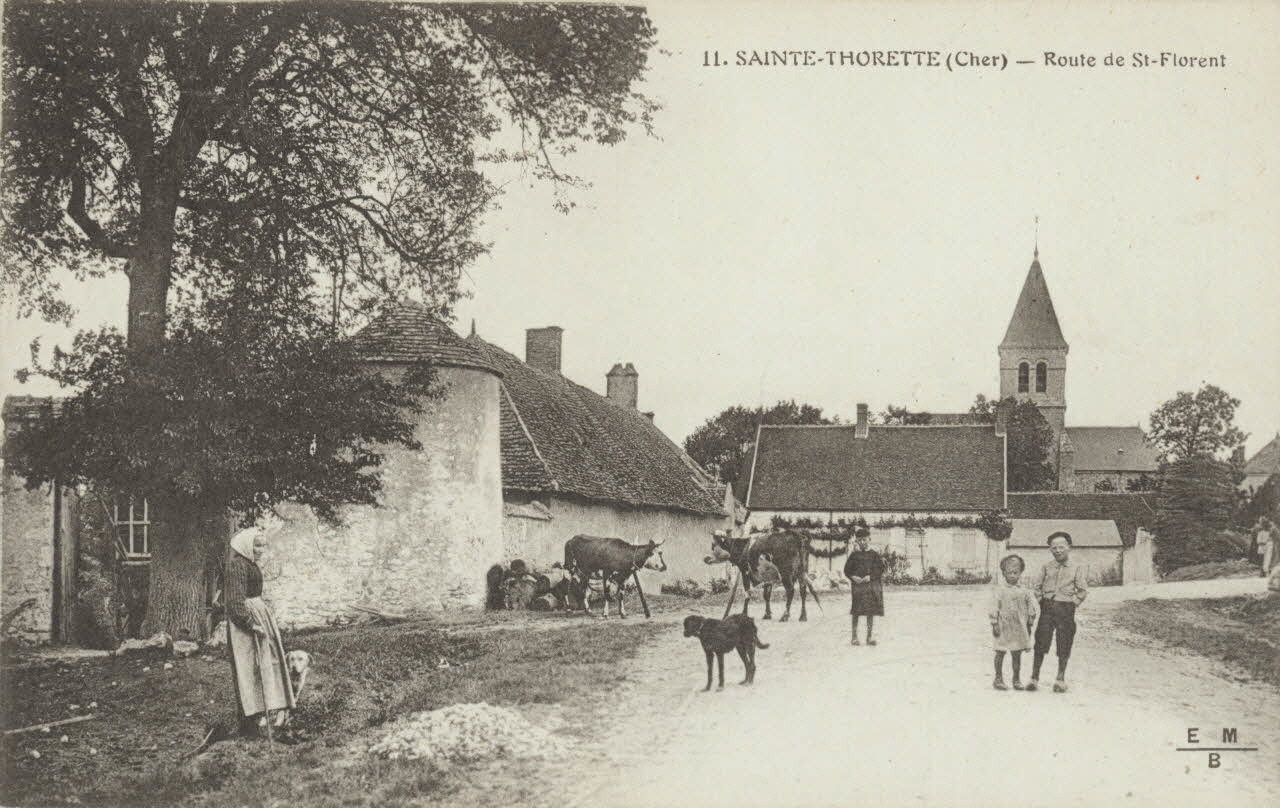 carte postale STE THORETTE-ROUTE DE ST FLORENT Cher 1903-1950 011302 Photo