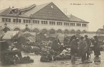 carte postale LES HALLES Cher 1904 011385 Photo
