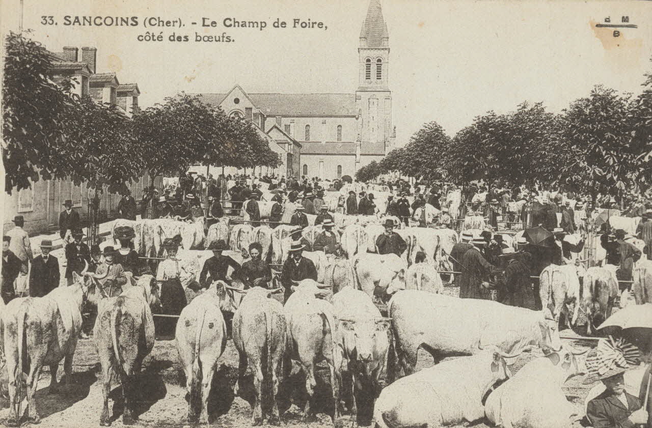 carte postale LE CHAMP DE FOIRE, COTE DES BOEUFS Cher 1903-1920 011388 Photo