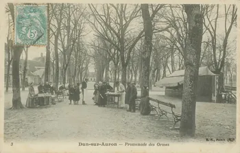 carte postale PROMENADE DES ORMES Cher 1903-1920 011435  Photo
