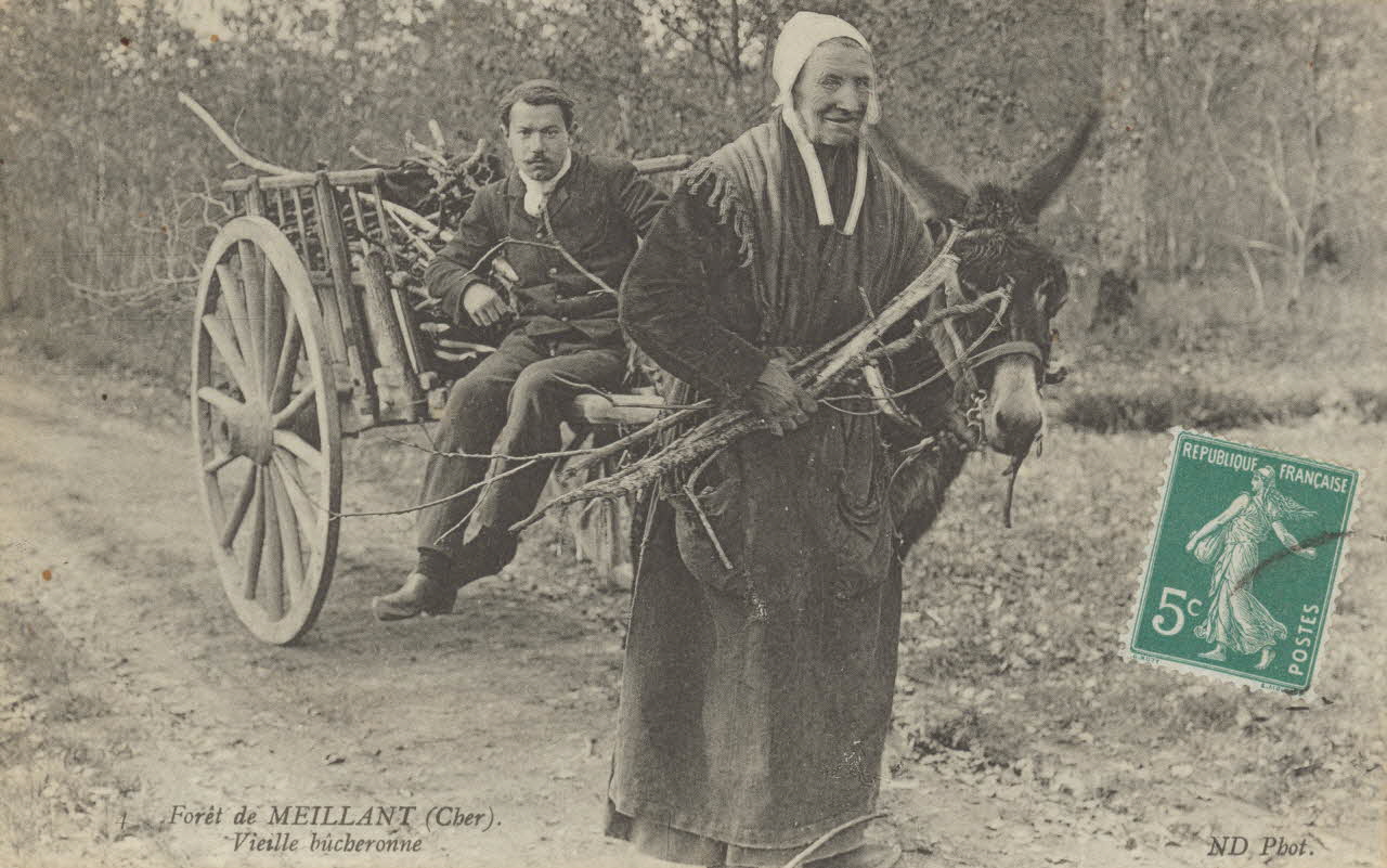 carte postale FORET DE MEILLANT. BUCHERONNE Cher 1903-1920 011446 Photo