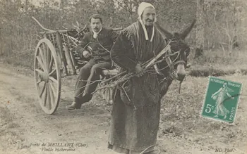 carte postale FORET DE MEILLANT. BUCHERONNE Cher 1903-1920 011446 Photo