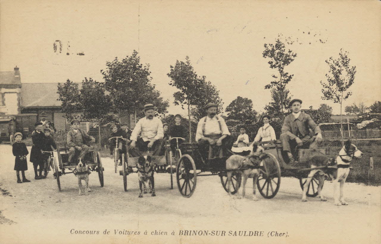 carte postale CONCOURS DE VOITURE A CHIEN 1903-1920 011673 Photo