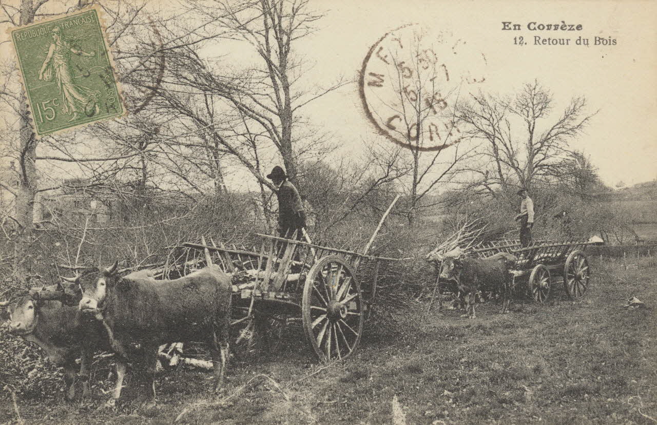carte postale EN CORREZE. RETOUR DU BOIS 1916 011977 Photo