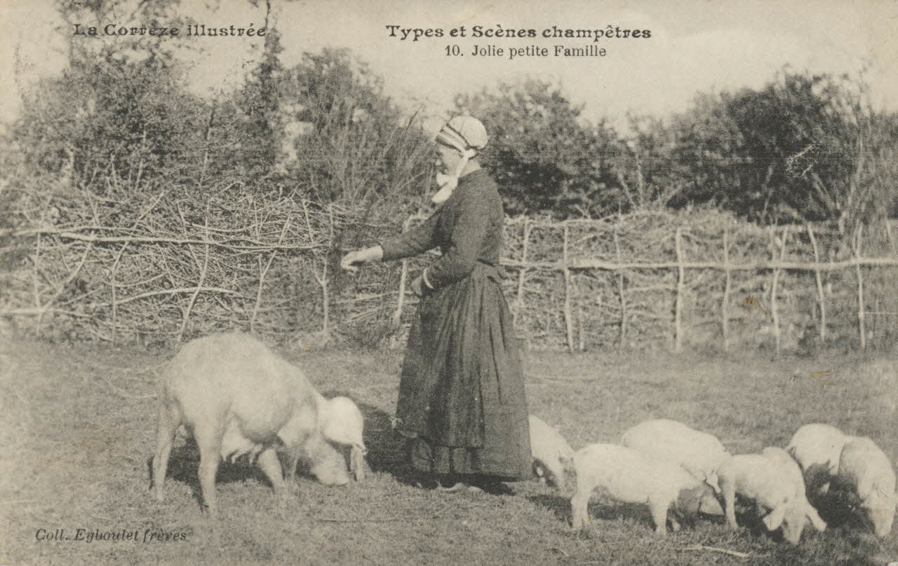 carte postale JOLIE PETITE FAMILLE 1921-1950 011978 Photo