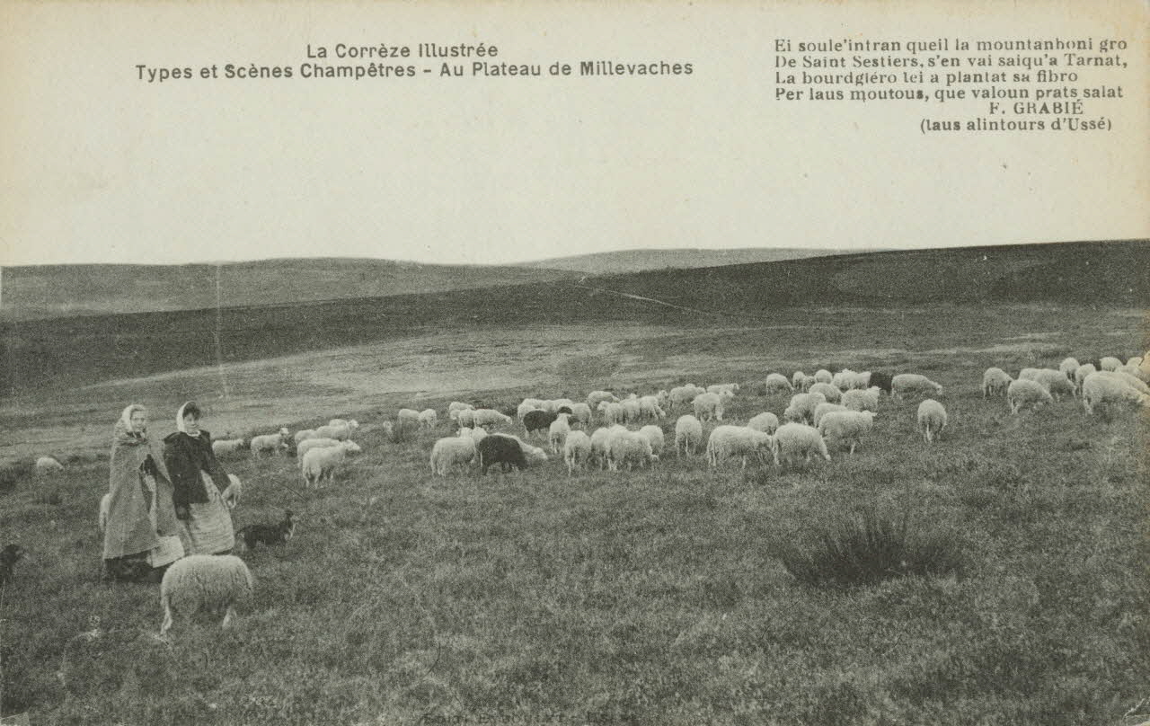 carte postale AU PLATEAU DE MILLEVACHES 1903-1920 011980 Photo