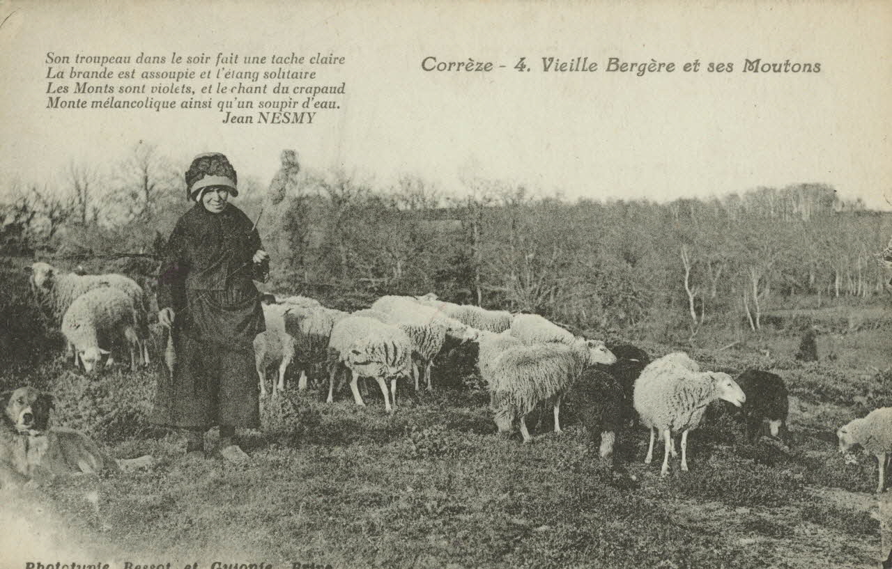 carte postale VIEILLE BERGERE ET SES MOUTONS 1903-1920 011985 Photo